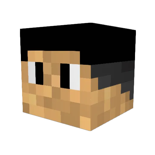 BigMac_81 Minecraft avatar head, 3D render