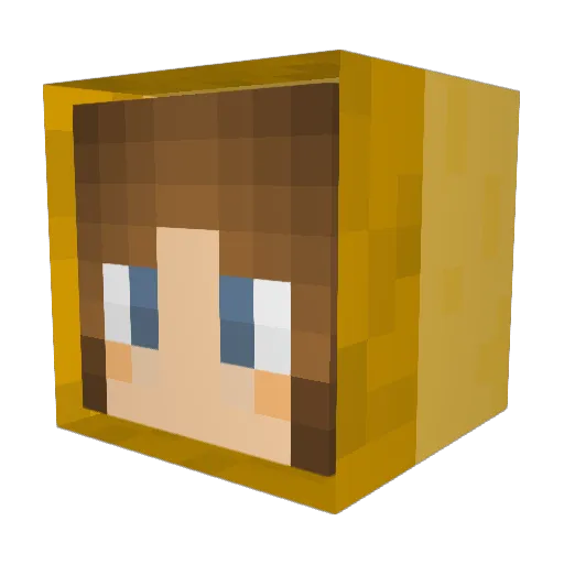 BigMama2563 Minecraft avatar head, 3D render
