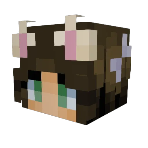 BigMan372889944 Minecraft avatar head, 3D render