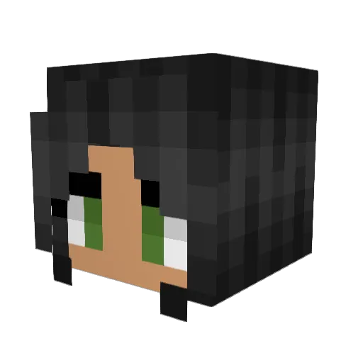 BigMinecraftVirg Minecraft avatar head, 3D render