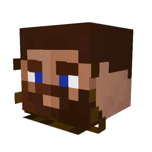 BigMinor31 Minecraft avatar head, 3D render