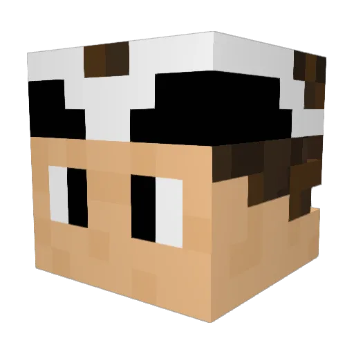 BigMoney7781 Minecraft avatar head, 3D render