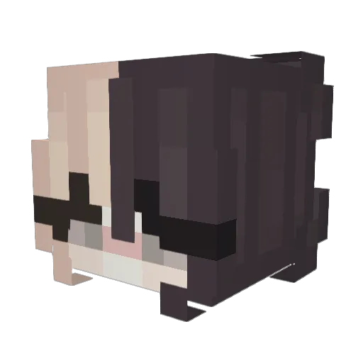 BigMuff1n Minecraft avatar head, 3D render