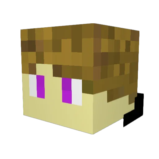 BigNate21 Minecraft avatar head, 3D render