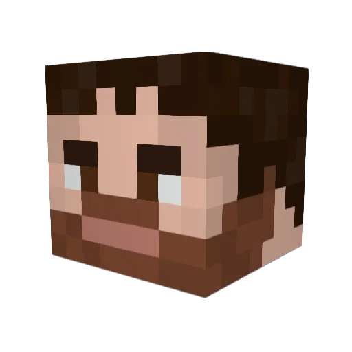 BigNate704 Minecraft avatar head, 3D render