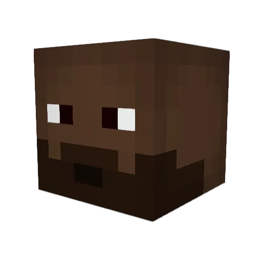 BigNigFig Minecraft avatar head, 3D render