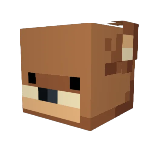 BigOleDEAN Minecraft avatar head, 3D render