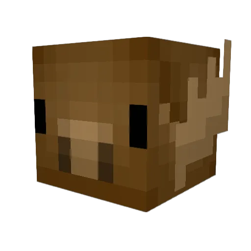 BigPapaVariouss Minecraft avatar head, 3D render