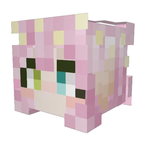 BigPapaYeeter Minecraft avatar head, 3D render