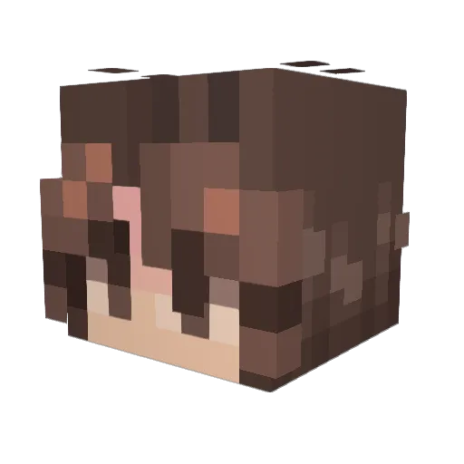 BigPeppaW Minecraft avatar head, 3D render