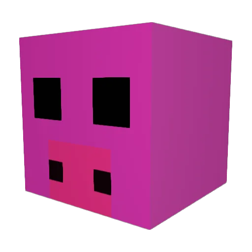 BigPig2137 Minecraft avatar head, 3D render