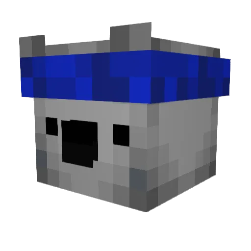 BigPlatypus17 Minecraft avatar head, 3D render
