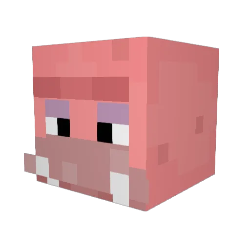 BigPringle111 Minecraft avatar head, 3D render