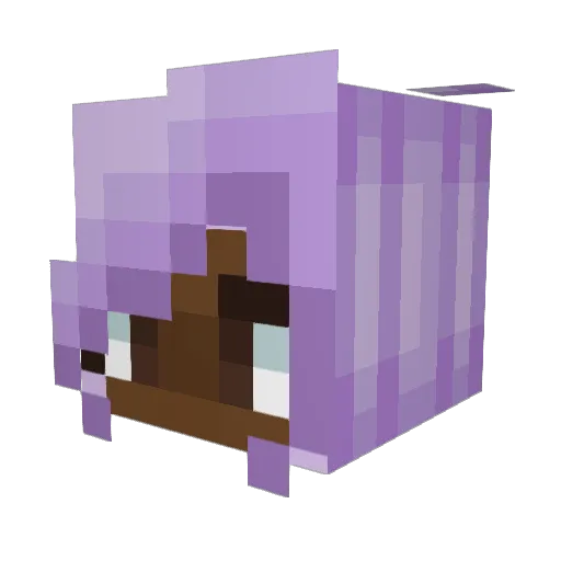 BigRivr Minecraft avatar head, 3D render