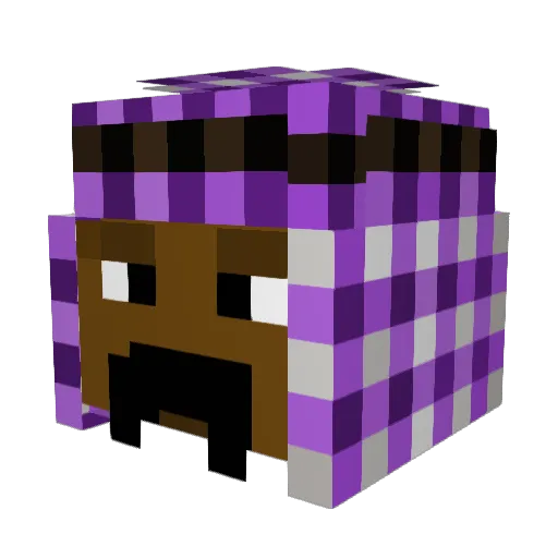 BigRod19 Minecraft avatar head, 3D render