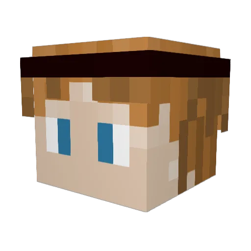 BigSchroedinger Minecraft avatar head, 3D render