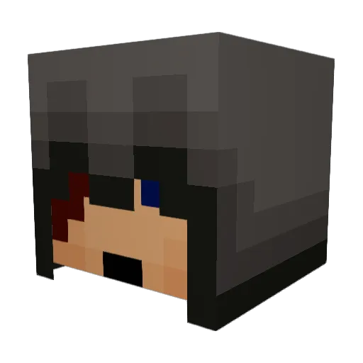 BigShawn77 Minecraft avatar head, 3D render
