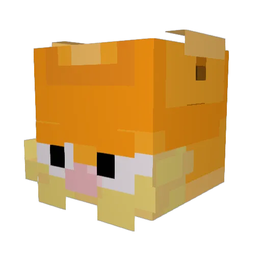 BigSoupp Minecraft avatar head, 3D render