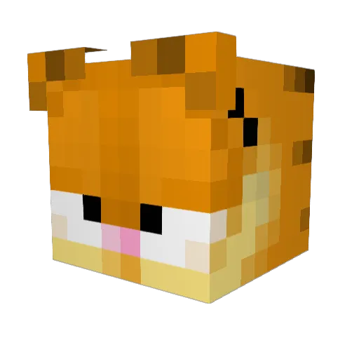 BigStinky02 Minecraft avatar head, 3D render
