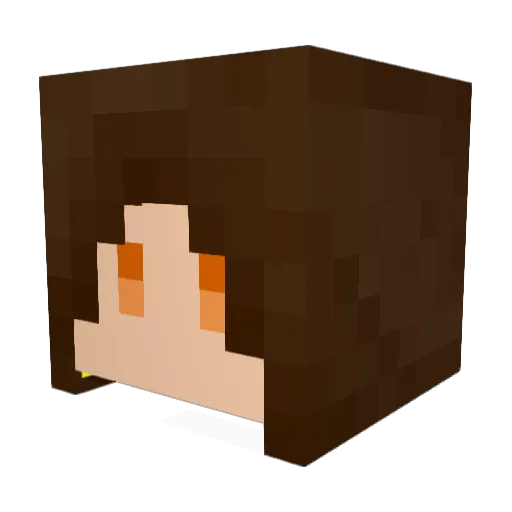 BigTailFox Minecraft avatar head, 3D render