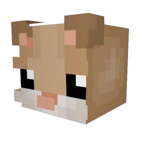 BigThunderMtn Minecraft avatar head, 3D render