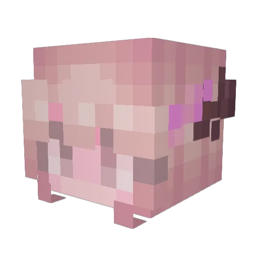 BigTimePANPAN Minecraft avatar head, 3D render