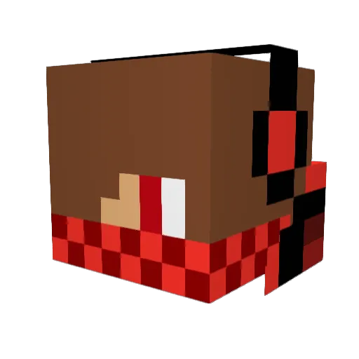 BigTuna5000 Minecraft avatar head, 3D render
