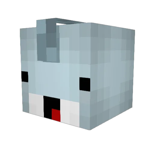 BigTunafish Minecraft avatar head, 3D render