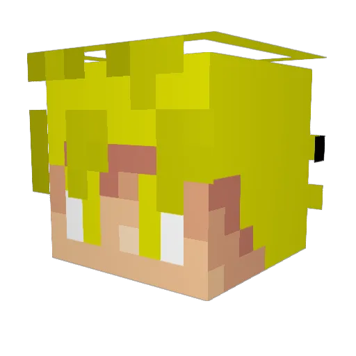 BigWeenz Minecraft avatar head, 3D render