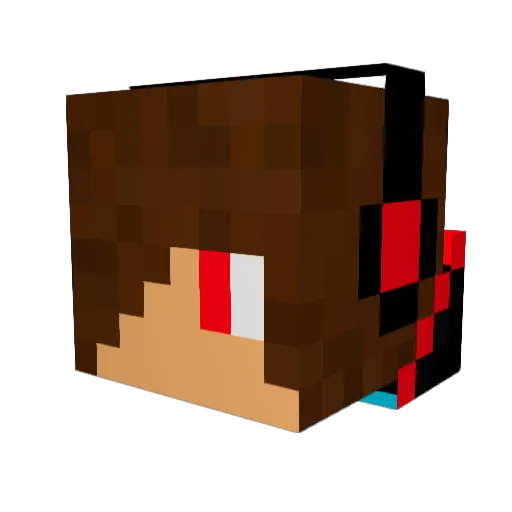 BigWilly17 Minecraft avatar head, 3D render