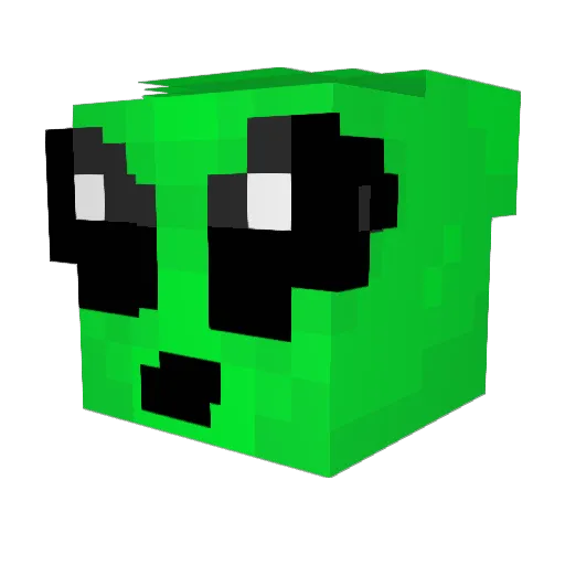 BigWooCwww Minecraft avatar head, 3D render