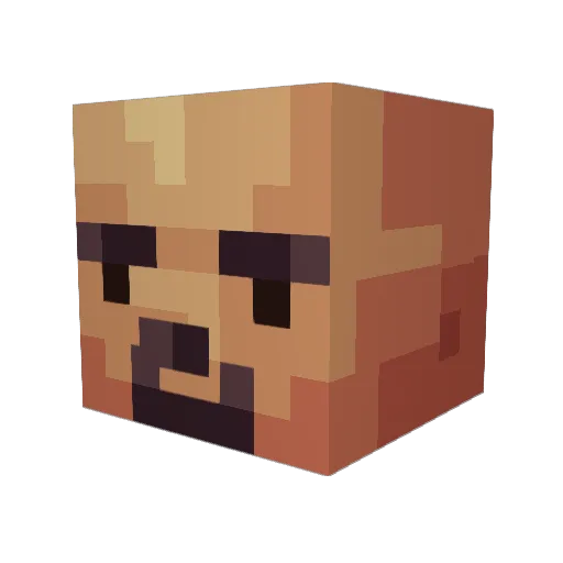BigWooJr Minecraft avatar head, 3D render