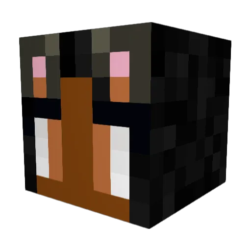 BigWoodyJohnson Minecraft avatar head, 3D render