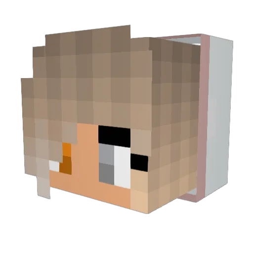 Big_Birth Minecraft avatar head, 3D render