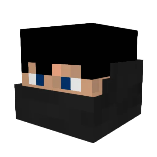 Big_Bumbo Minecraft avatar head, 3D render