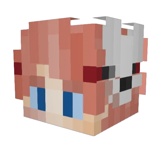 Big_Chazza_ Minecraft avatar head, 3D render