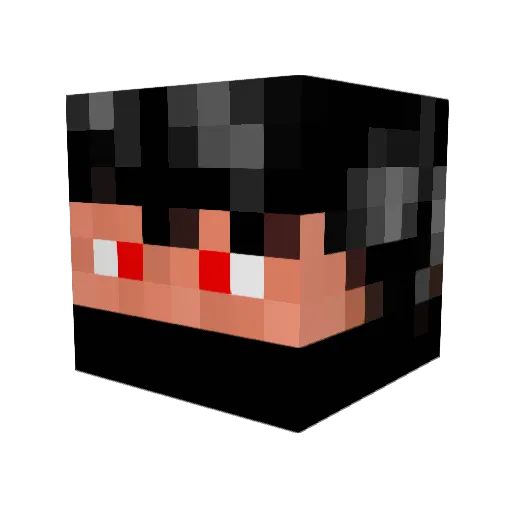Big_D406 Minecraft avatar head, 3D render