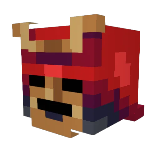 Big_D999 Minecraft avatar head, 3D render