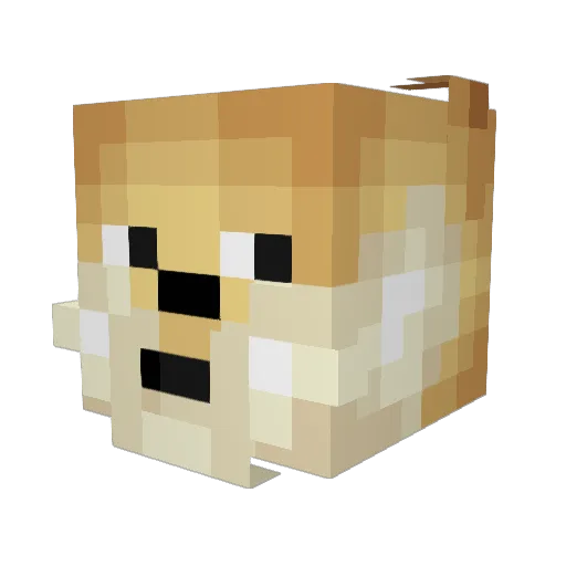 Big_Dogge Minecraft avatar head, 3D render