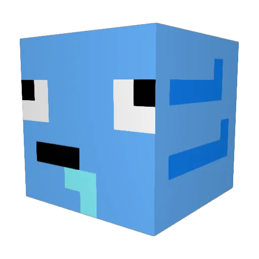 Big_Dong6969 Minecraft avatar head, 3D render
