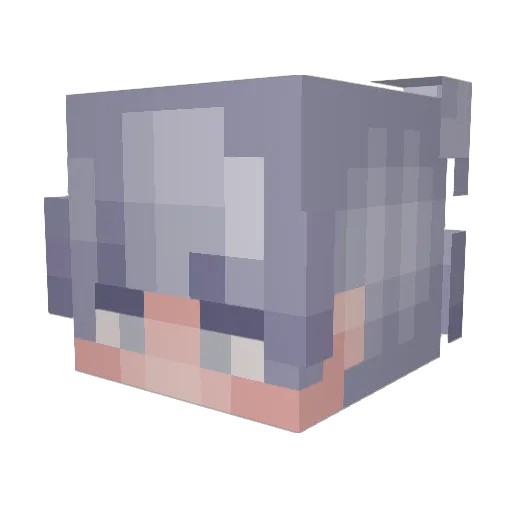 Big_Josherr Minecraft avatar head, 3D render