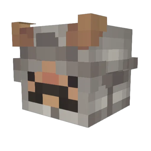 Big_Mnichello Minecraft avatar head, 3D render
