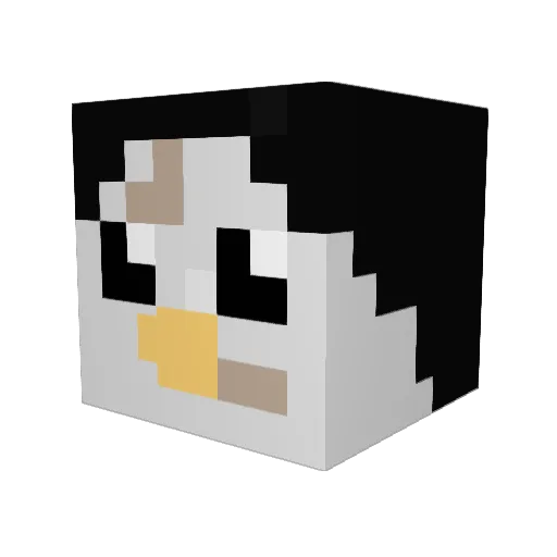 Big_Noot_Noot Minecraft avatar head, 3D render
