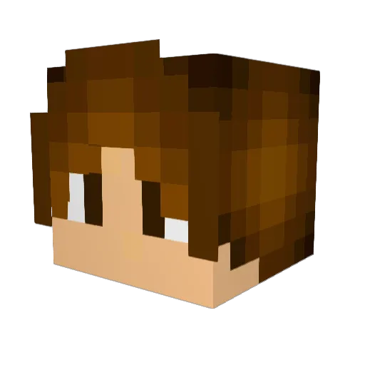 Big_PJ Minecraft avatar head, 3D render