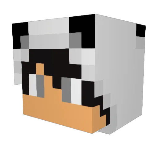 Big_Panda12 Minecraft avatar head, 3D render