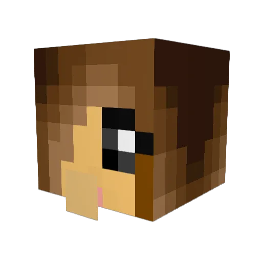 Big_S123 Minecraft avatar head, 3D render