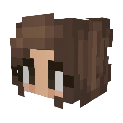 Big_Tz Minecraft avatar head, 3D render