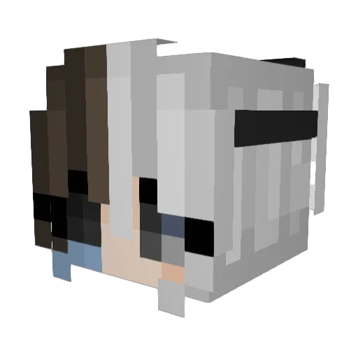Big_catMeow Minecraft avatar head, 3D render