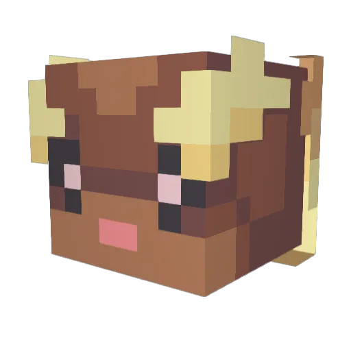 Big_sans Minecraft avatar head, 3D render