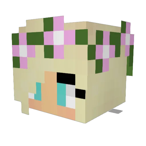 BigbirdMedSwag Minecraft avatar head, 3D render